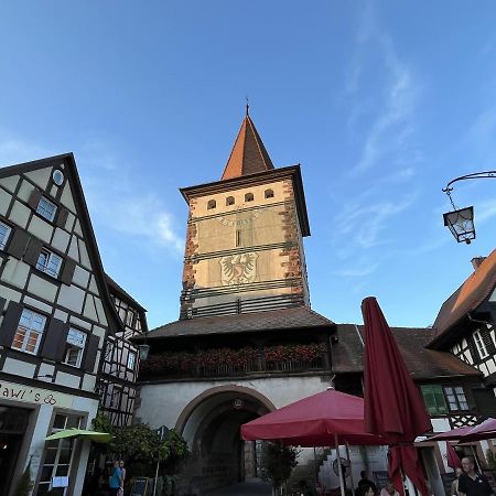 Coucou - Nest Im Schwarzwald Apartment Gengenbach Ngoại thất bức ảnh