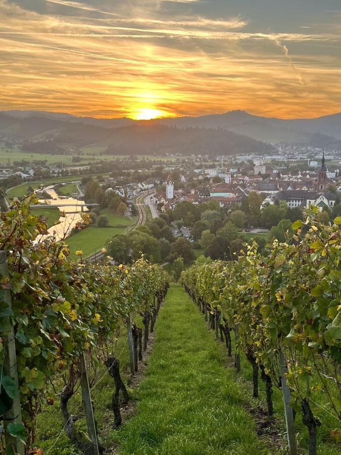 Coucou - Nest Im Schwarzwald Apartment Gengenbach Ngoại thất bức ảnh
